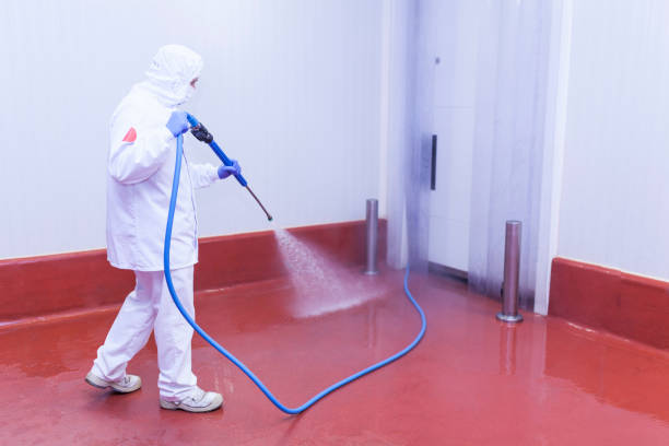 Best Factory Floor Cleaning  in Bishopville, SC