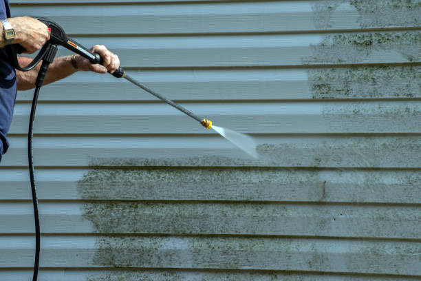 Best House Exterior Washing  in Bishopville, SC